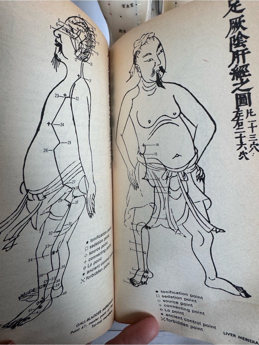 Vintage Acupuncture Model Nude Male Rubber Dummy w Vintage Avon Book - Picture 4 of 12